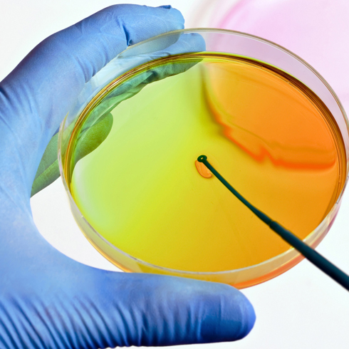 Realización de muestreos microbiológicos en el marco de la cualificación de la sala limpia Muestreo microbiológico en el marco de la cualificación de la sala limpia